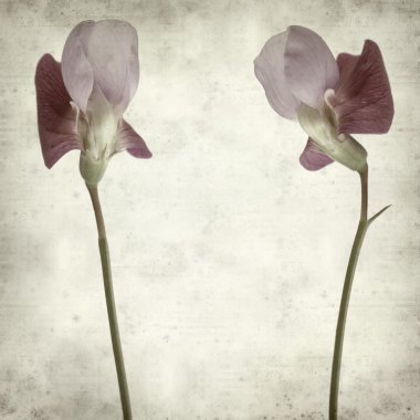 desenli eski kağıt arkaplan  