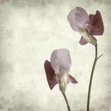 desenli eski kağıt arkaplan  