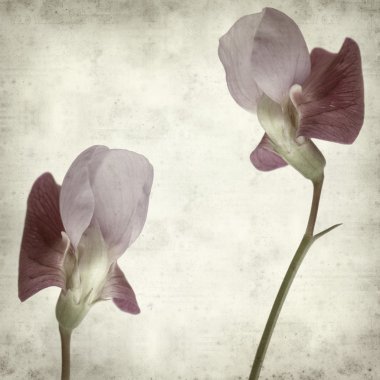 desenli eski kağıt arkaplan  