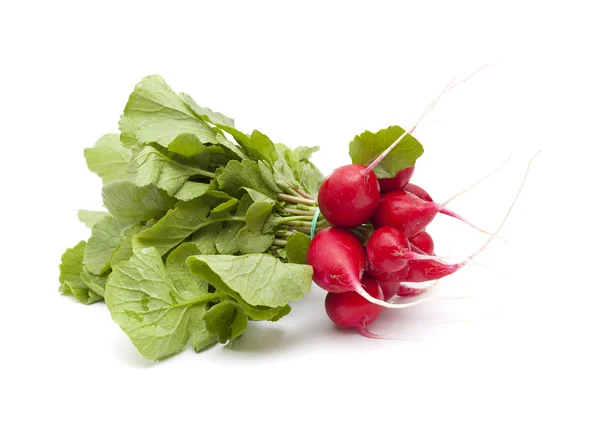 Bunch of radish — Stock Photo, Image