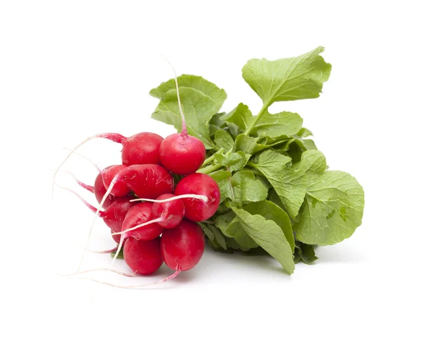 Bunch of radish — Stock Photo, Image