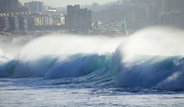 Vagues brisant par El Confital plage — Photo