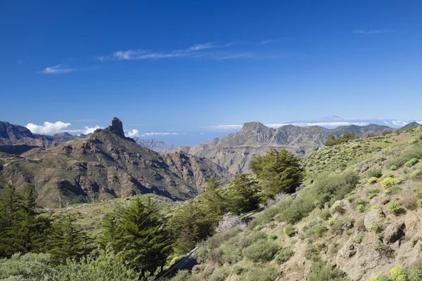 Gran Canaria, Caldera de Tejeda, Ocak — Stok fotoğraf