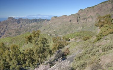 Gran Canaria, Caldera de Tejea, Ocak