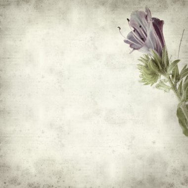 desenli eski kağıt arkaplan  