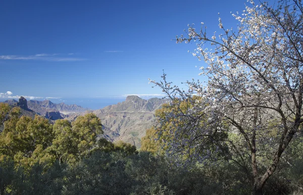 Gran Canaria, Caldera de Tejea, Janeiro — Fotografia de Stock