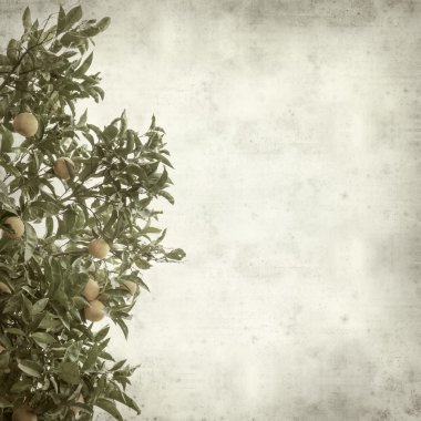 desenli eski kağıt arkaplan  