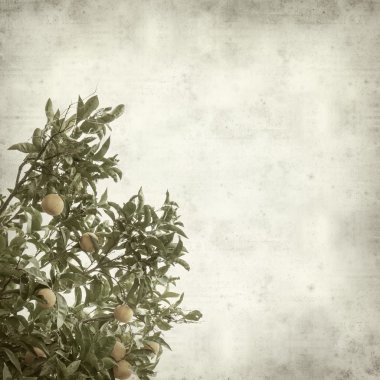 desenli eski kağıt arkaplan  