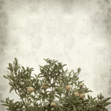 desenli eski kağıt arkaplan  