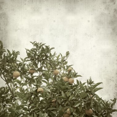 desenli eski kağıt arkaplan  