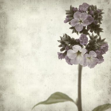 desenli eski kağıt arkaplan  