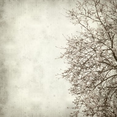 desenli eski kağıt arkaplan  