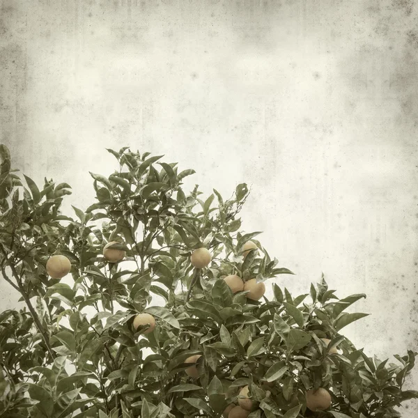 desenli eski kağıt arkaplan  