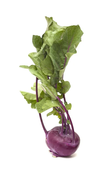 Kohlrabi isolado em branco — Fotografia de Stock