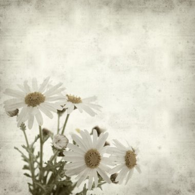 desenli eski kağıt arkaplan  