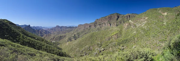 Gran Canaria, Caldera de Tejeda, styczeń — Zdjęcie stockowe