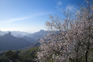 İç Gran Canaria, Caldera de Tejeda