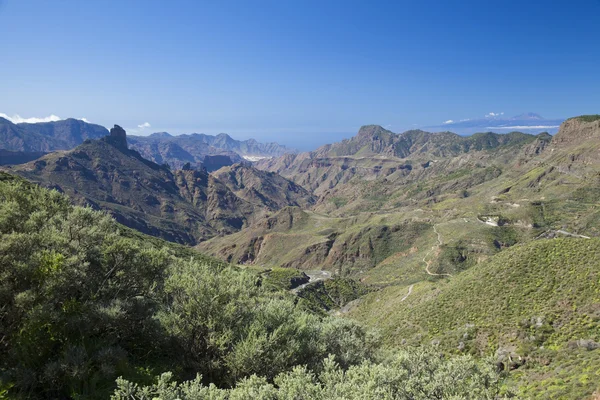 Gran Canaria, Caldera de Tejeda, janvier — Photo