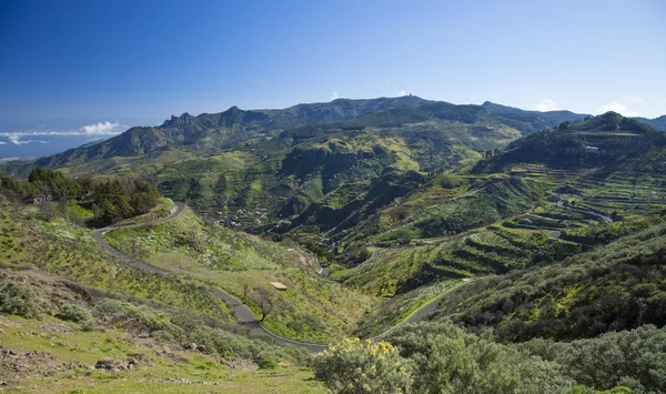 Central Gran Canaria, View across Barranco de Las Lagunetas — Stock Photo, Image