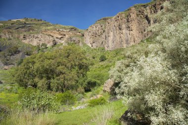 Gran Canaria, Caldera de Bandama ve Pico de Bandama