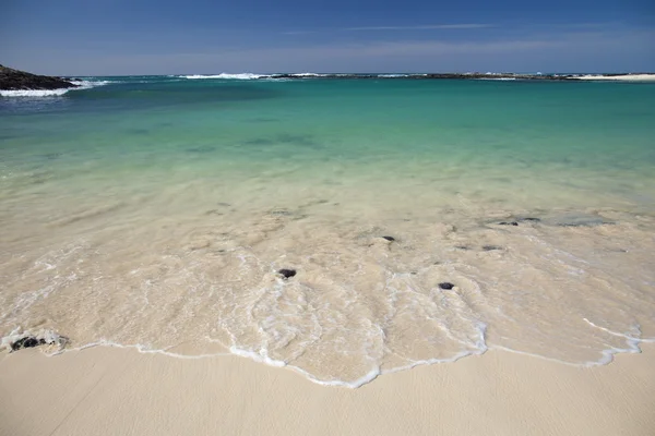 Фуэртевентура, Канарские острова, пляж Playa La Concha в El Cotil — стоковое фото