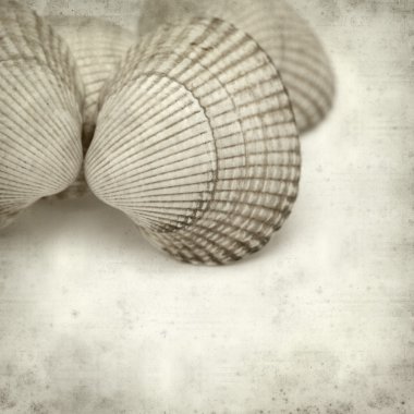 eski kağıt arka plan ile dokulu 