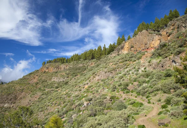 Γκραν Κανάρια, Καλντέρα De Tejeda τον Φεβρουάριο — Φωτογραφία Αρχείου