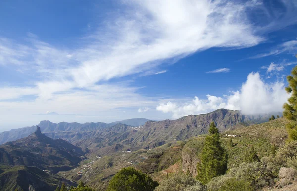 Gran canaria, caldera de tejeda im februar — Stockfoto