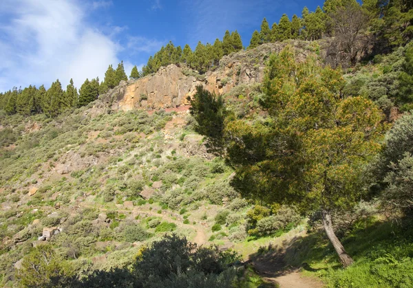 Gran Canaria, Caldera De Tejeda en fevereiro — Fotografia de Stock