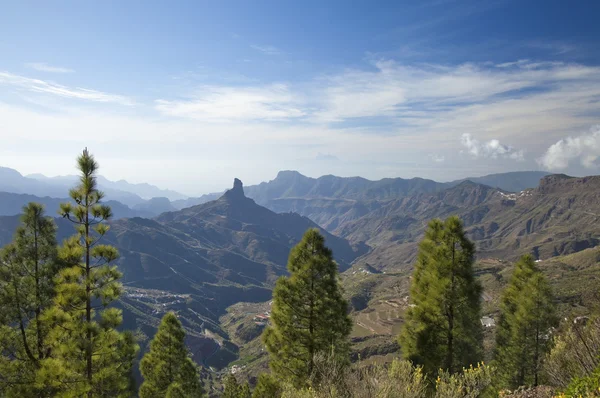 Gran Canaria, Caldera De Tejeda Şubat ayında — Stok fotoğraf