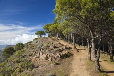 Gran Canaria, Las Huelva'daki - adanın en yüksek alanlarda