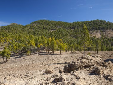 Gran Canaria, Las Huelva'daki - adanın en yüksek alanlarda