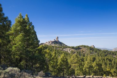 Gran Canaria, Las Huelva'daki - adanın en yüksek alanlarda