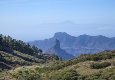 Gran Canaria, Caldera de Tejeda Ocak ayında