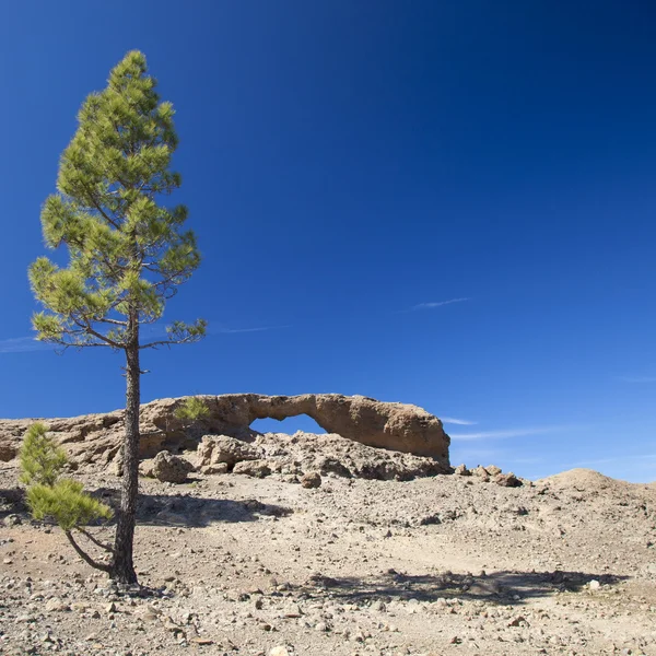 Gran Canaria, Las Cumbres - najwyższej części wyspy — Zdjęcie stockowe