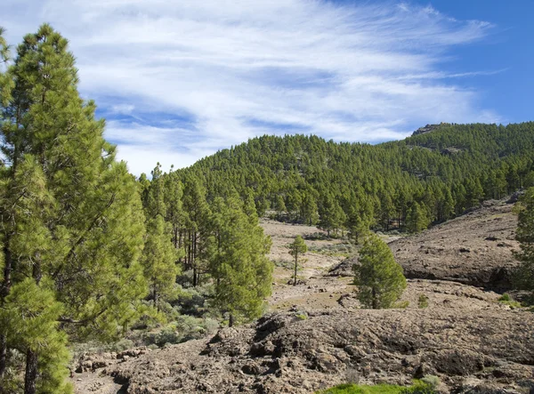 Gran Canaria, Las Cumbres - de högsta områdena på ön — Stockfoto