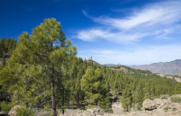 Gran Canaria, Las Cumbres - najwyższej części wyspy — Zdjęcie stockowe