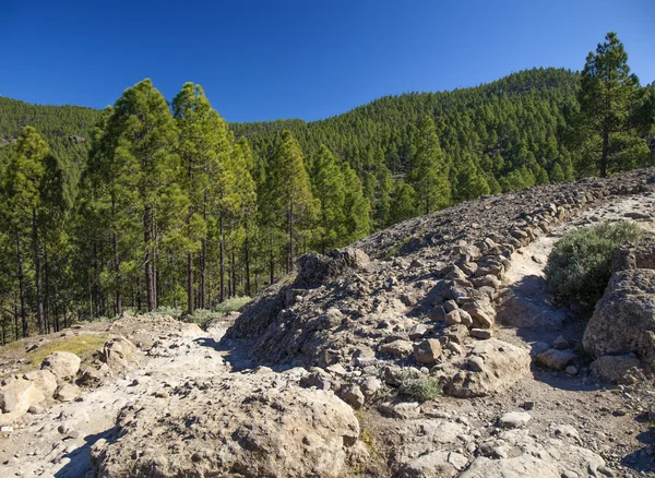 Gran Canaria, Las Cumbres - les plus hautes zones de l "île — Photo