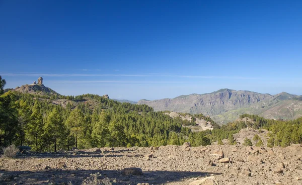 Gran Canaria, Las Cumbres - le zone più alte dell'isola — Foto Stock