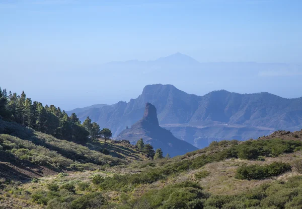 Gran Canaria, Caldera de Tejeda v lednu — Stock fotografie