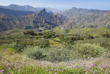 Gran Canaria, Caldera de Tejeda Ocak ayında