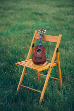 doğada çim sandalye üzerinde küçük gitar duran