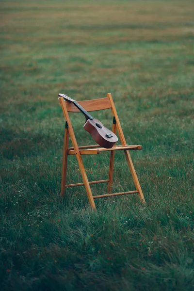 Malé kytarové stojící na židli na trávě v přírodě Stock Obrázky
