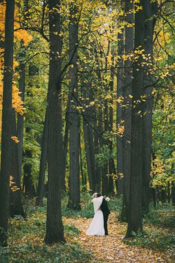 Sonbahar düğün, damat, Gelin, çift, orman, Sarı yapraklar, sarılma, öpüşme, güzel düğün
