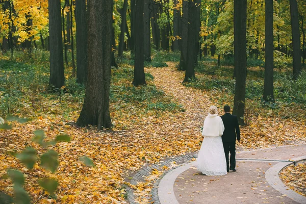 Autumn, wedding, groom, bride, couple, forest, yellow leaves, hugging, kissing, beautiful wedding