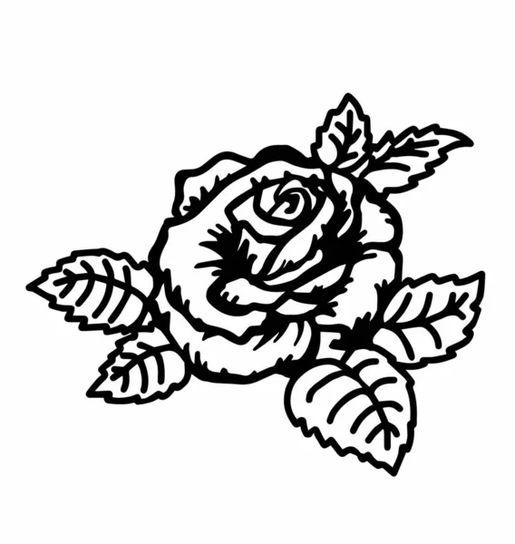 Große Silhouette Einer Rosenblüte Den Blättern — Stockvektor