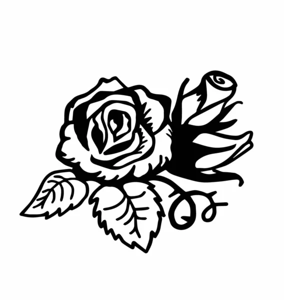 Μεγάλο Τριαντάφυλλο Λουλούδι Σιλουέτα Μπουμπούκια Και Φύλλα — Διανυσματικό Αρχείο