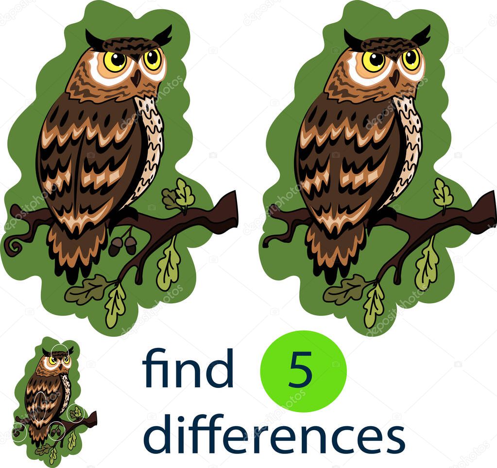  A game for children to find the differences. Owl