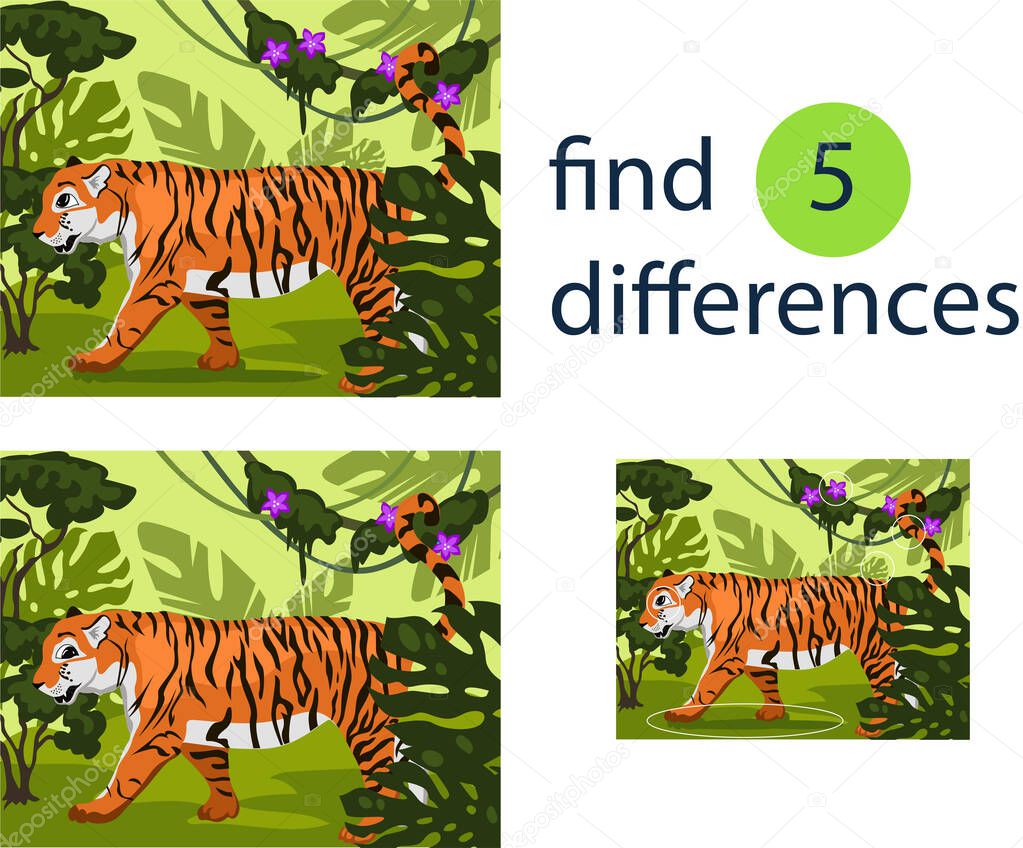  A game for children to find 5 differences tiger in the jungle