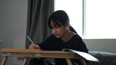 Genç liseli kız evde ödevlerini yapıyor..